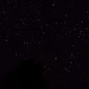 Meet your Posher, Leo